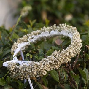 Tocado Paniculata Blanca (corona entera)